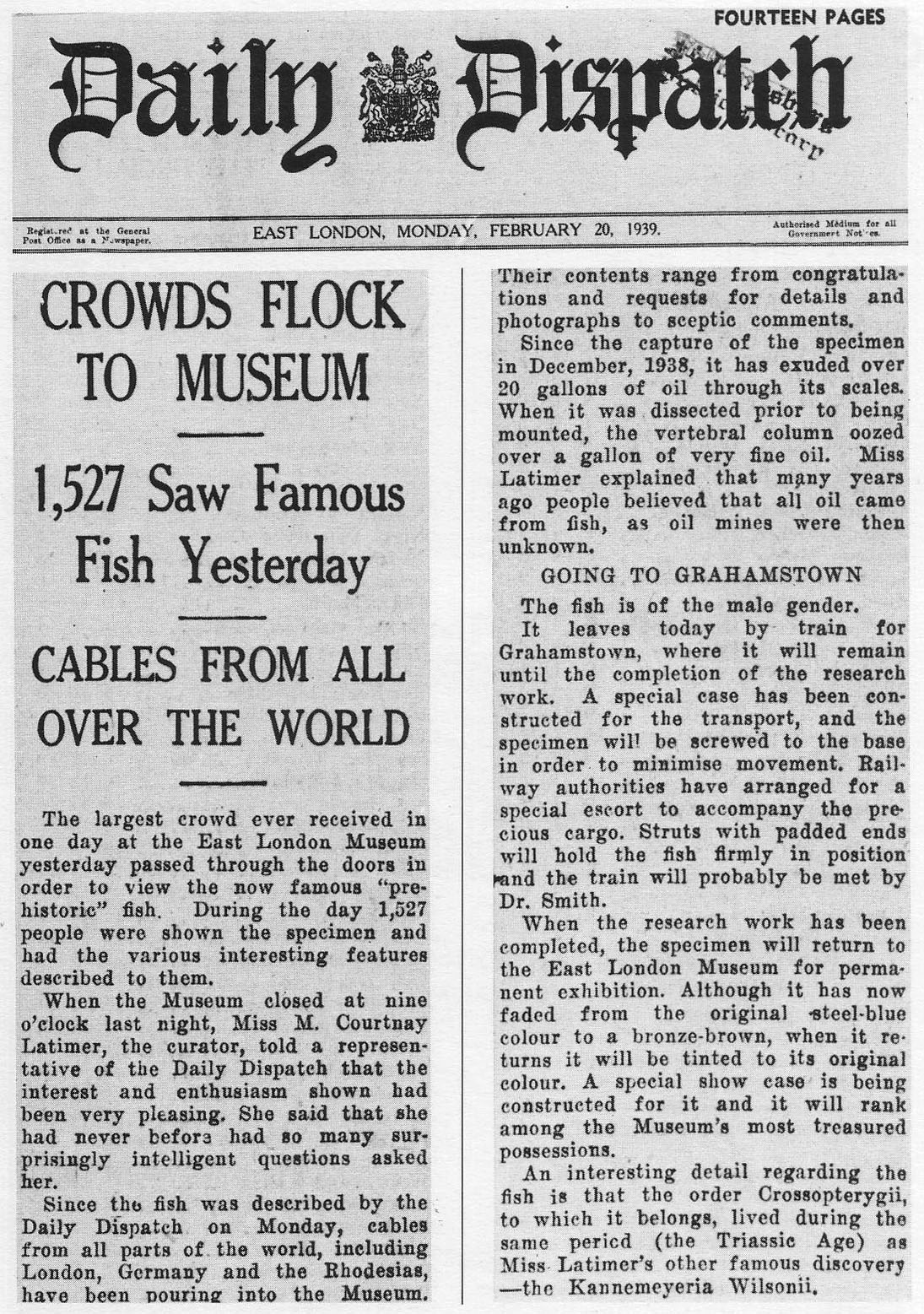 Daily Dispatch / Newspaper / East London / 2025